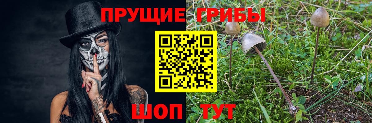 Псилоцибиновые грибы Cubensis  Вход с VPN  Феодосия 
